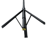 Insta360 Throwpod Price in Pakistan - V3 Shopping
